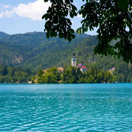Beautiful In W/ Wifi, Outdoor Swimming Pool And 1 Bedrooms * Begunje na Gorenjskem